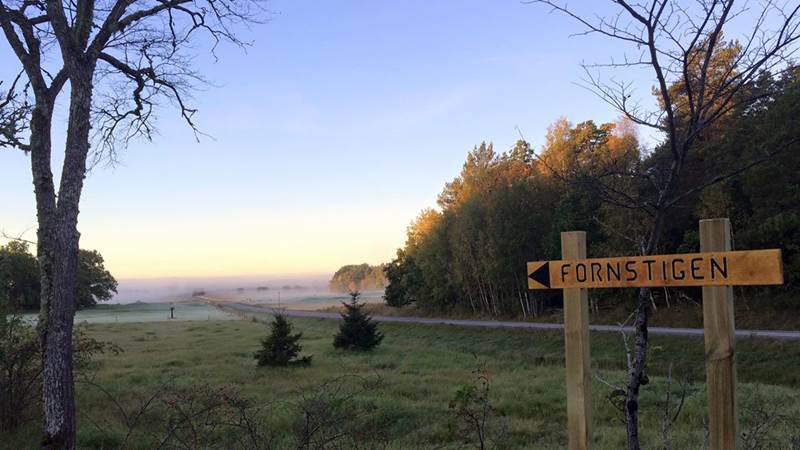 Fornstigen på Gålö Foto: Anna Röst Fornstigen på Gålö
