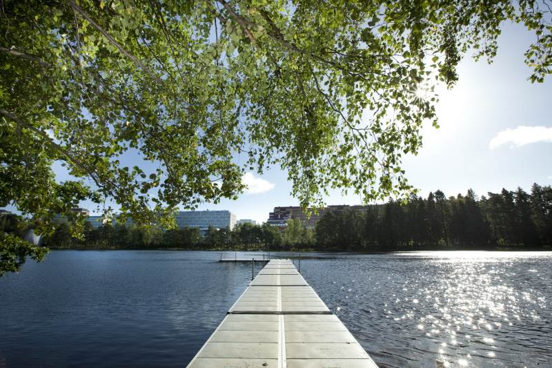 Rudan Foto: Fredrik Hjerling