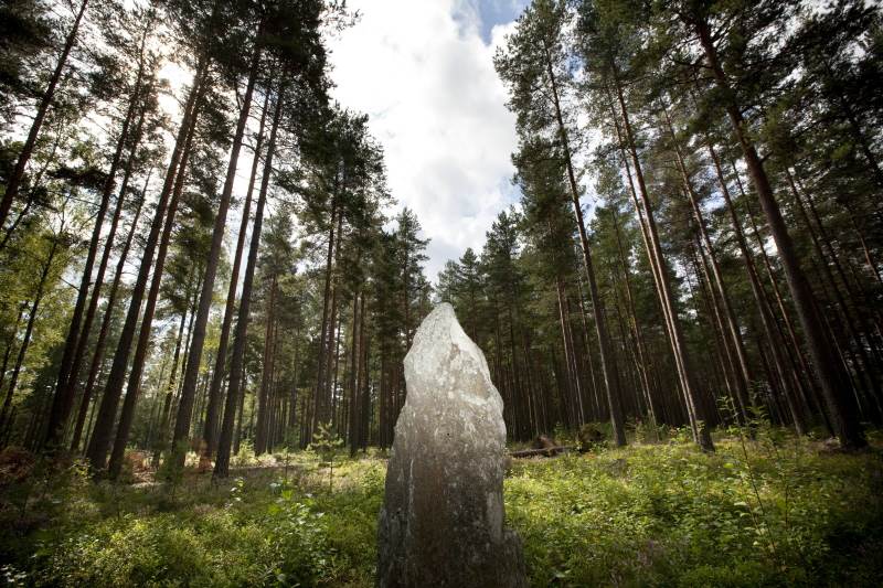 Jordbrogravfältet Foto: Fredrik Hjerling